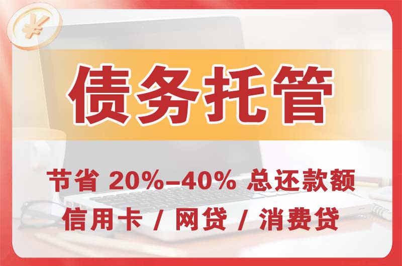 新和债务托管